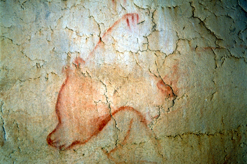 La caverne du Pont d'Arc